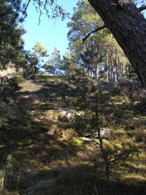 View east up to the top of the hill