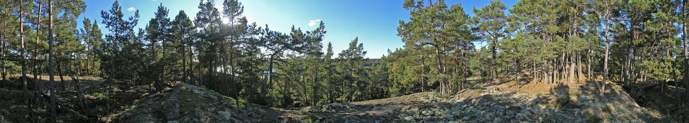 360-degree panorama from the top of the hill, about 20 m from the point