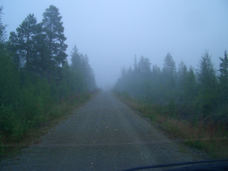 The Main forest road