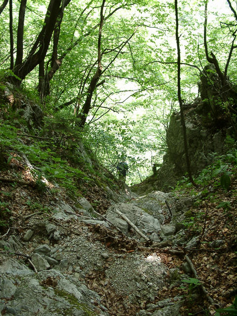 The upper part of the little valley. The waterfall is behind the edge at which Basti stands. The picture is taken from the opposite side of picture #1.