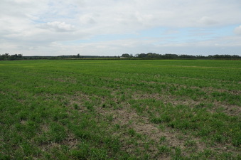 #1: The Confleunce area and looking west with farm at edge of the field