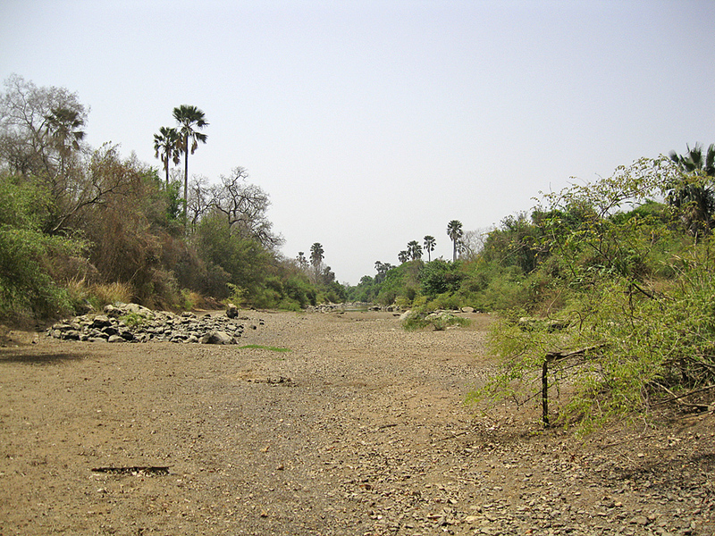 We crossed a dry stretch of the Niokolo Koba River; it's a major tributary of the Gambia River