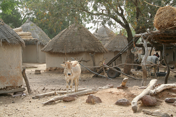 One of many widely scattered Peul (Fulani) villages in the pastoral zone