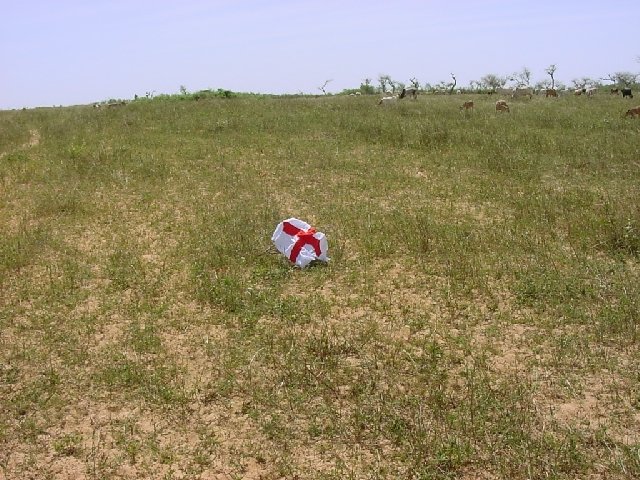 The flag on the Confluence in a pasture
