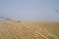6&deg;N 32&deg;E preview image