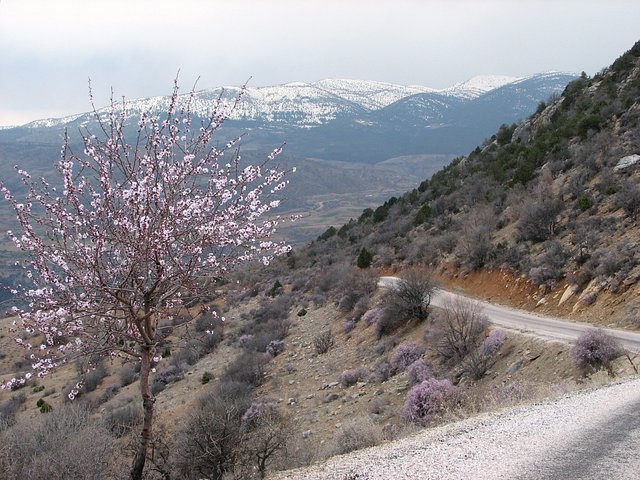 Descent into the Göksu Nehri valley