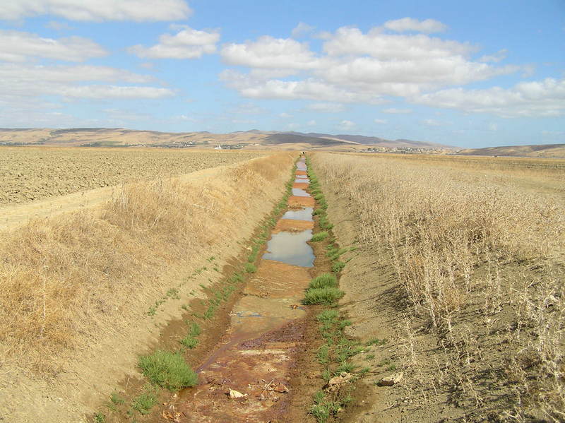 Irrigation ditch running northwest-southeast, passing 100 m from the Confluence (to the right).