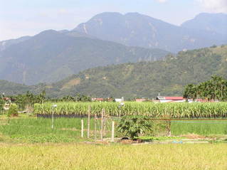 #1: View to the north toward the confluence in the rugged terrain near Puli, Taiwan.