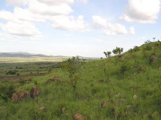 #1: The view of 2S 34E, just north of the Serengeti's Western corridor