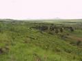 #2: The view looking north into the agricultural land of the Wasukuma tribe.