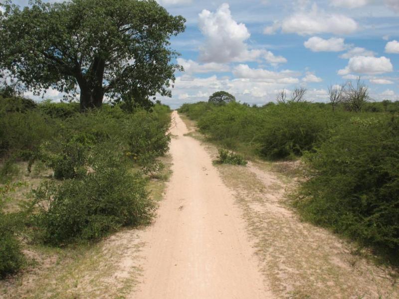 Road leading towards the Confluence