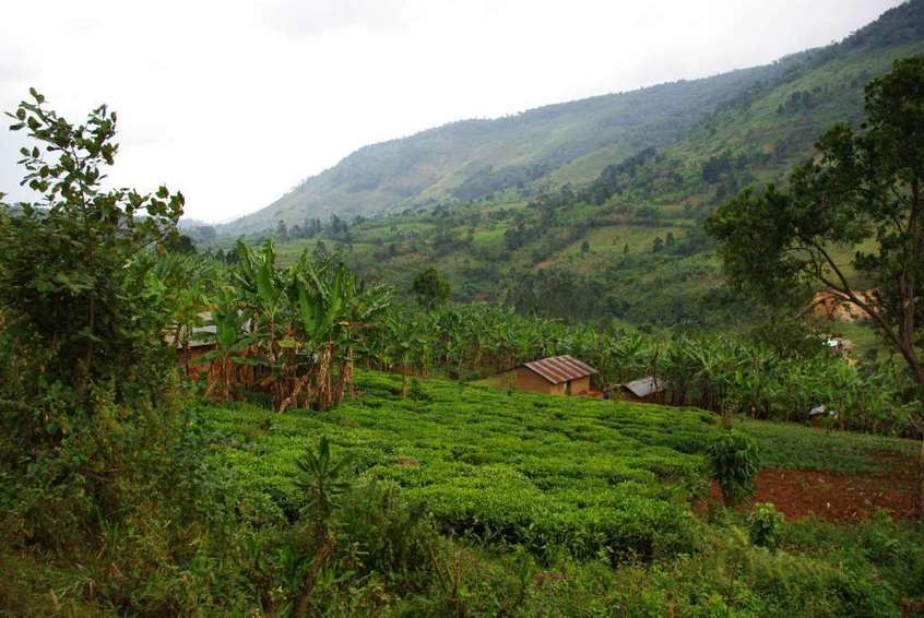 Buhoma village