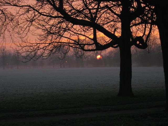 Sunrise in Southern London