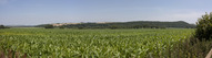#11: Field - West-South-East