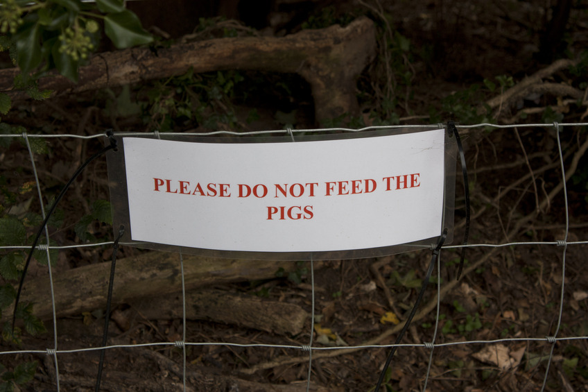 Don't feed the pigs