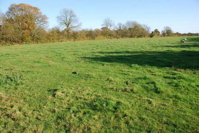 What we thought was the general area of this concluence point - a cow pasture