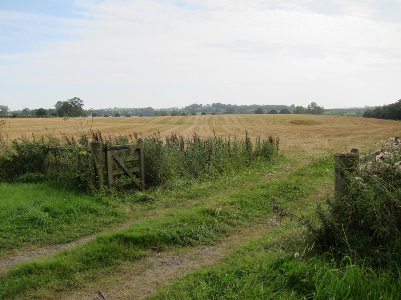 View towards the confluence point from the open gate to the field