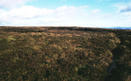 #2: Looking North, a peat bank, and the distant Aberdeenshire top of Bennachie.