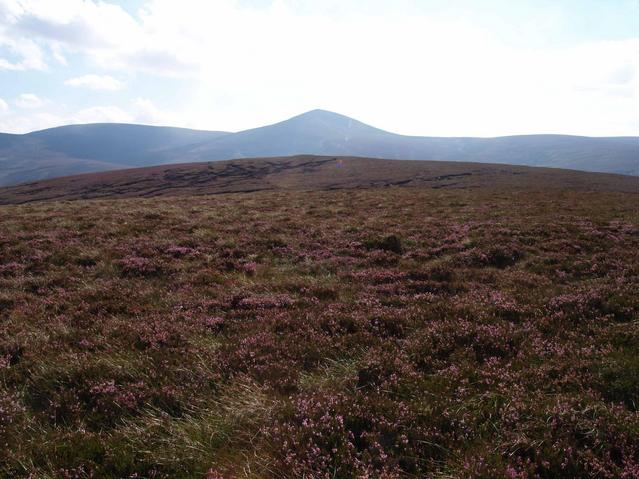 view south directly towards Mount Keen
