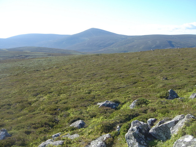 General view of the point as we approaced from the northwest, mount keen in view.