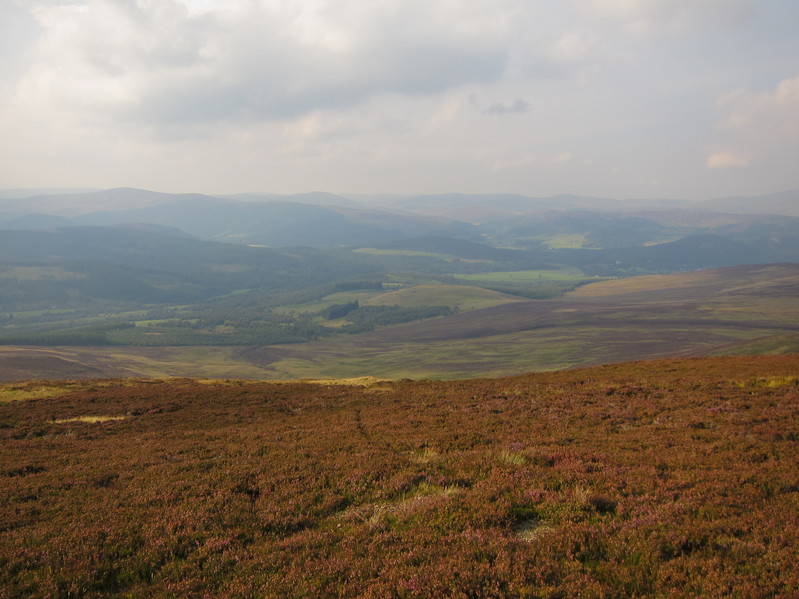 View of Glen Muick and Deeside from the track to Aultonrea