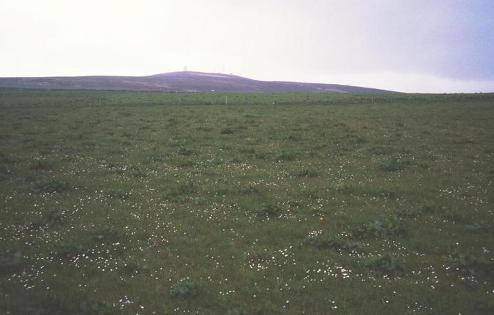 The spot in a field. Looking South West to Wideford Hill