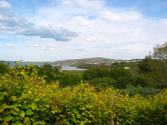 The Confluence - View to the East from 50m up a Hill