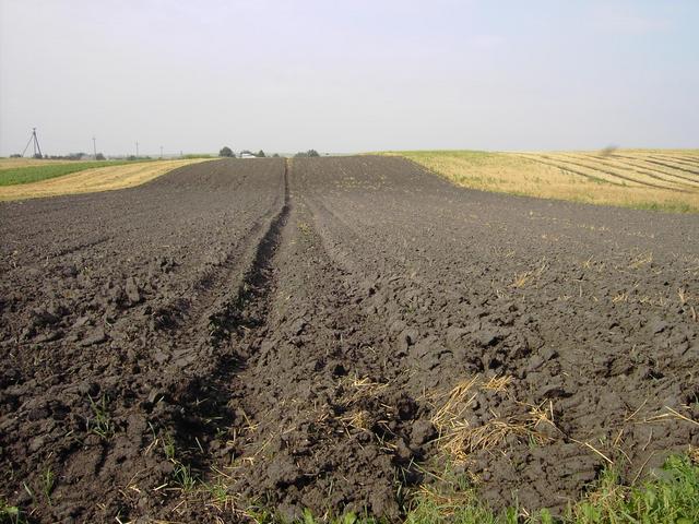 Fruchtbare ukrainische Erde - Fertile Ukrainian soil