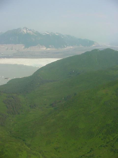 Although the CP is marked by green vegetation, it is surrounded on three sides by the Grand Plateau Glacier.