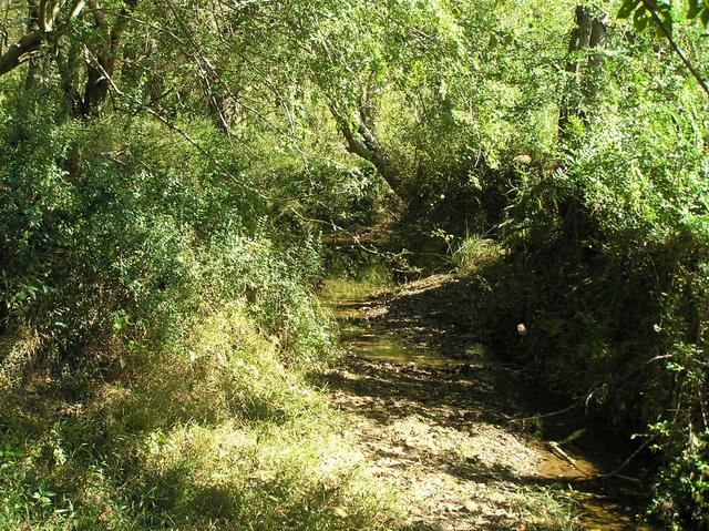 Stream, four meters south of the confluence, looking northeast.