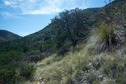 #3: View South (along the hillside)