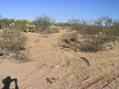 #5: General view.  The confluence seemed to be marked by the scattering of items in ths photo, nearby some cattle 'sign'.