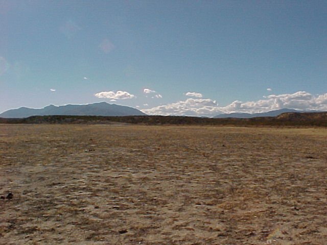 Looking west from the confluence