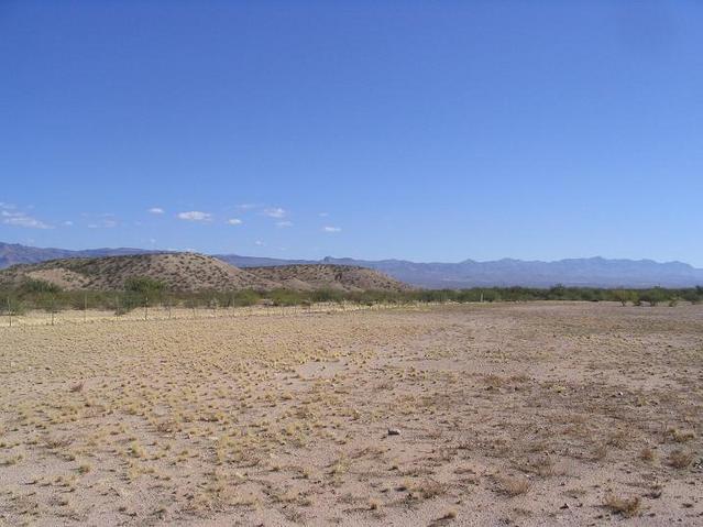 North view, toward the Gila Mountains