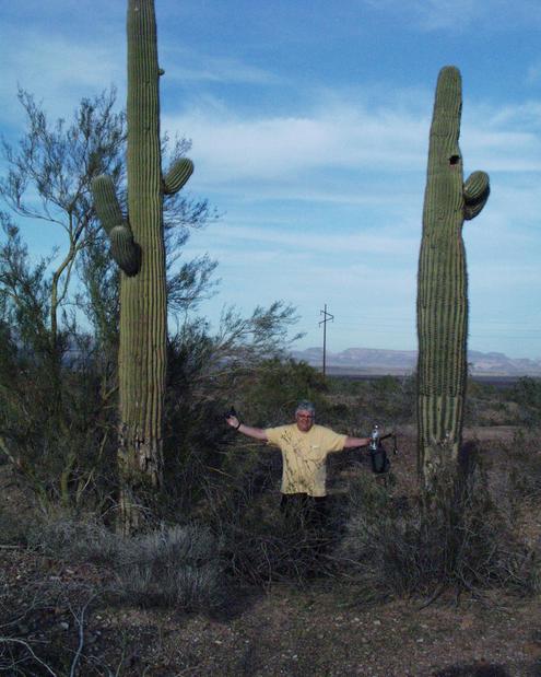 David between two giant saguaro cactus