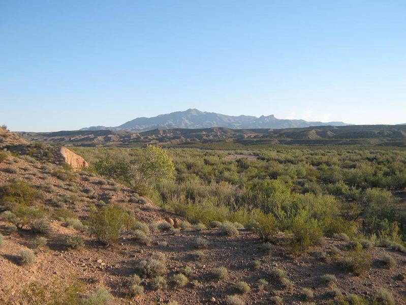 General view of the confluence as seen from a small bluff about 30 meters to the west. The confluence lies in the sandy wash below, set apart from the tamarisk trees. In back is West Mountain Peak.