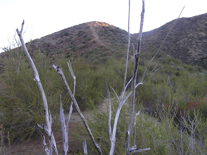 Closest trail to the confluence, 100 meters north, looking northeast. 