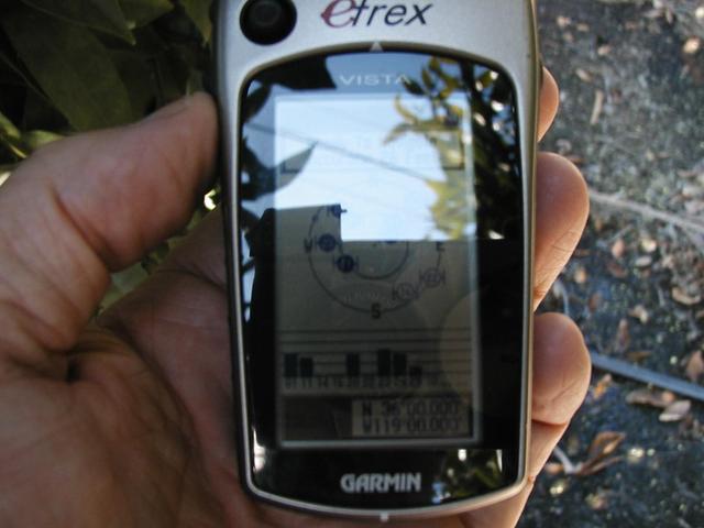 Here's the GPS in the trees - see the leaves?