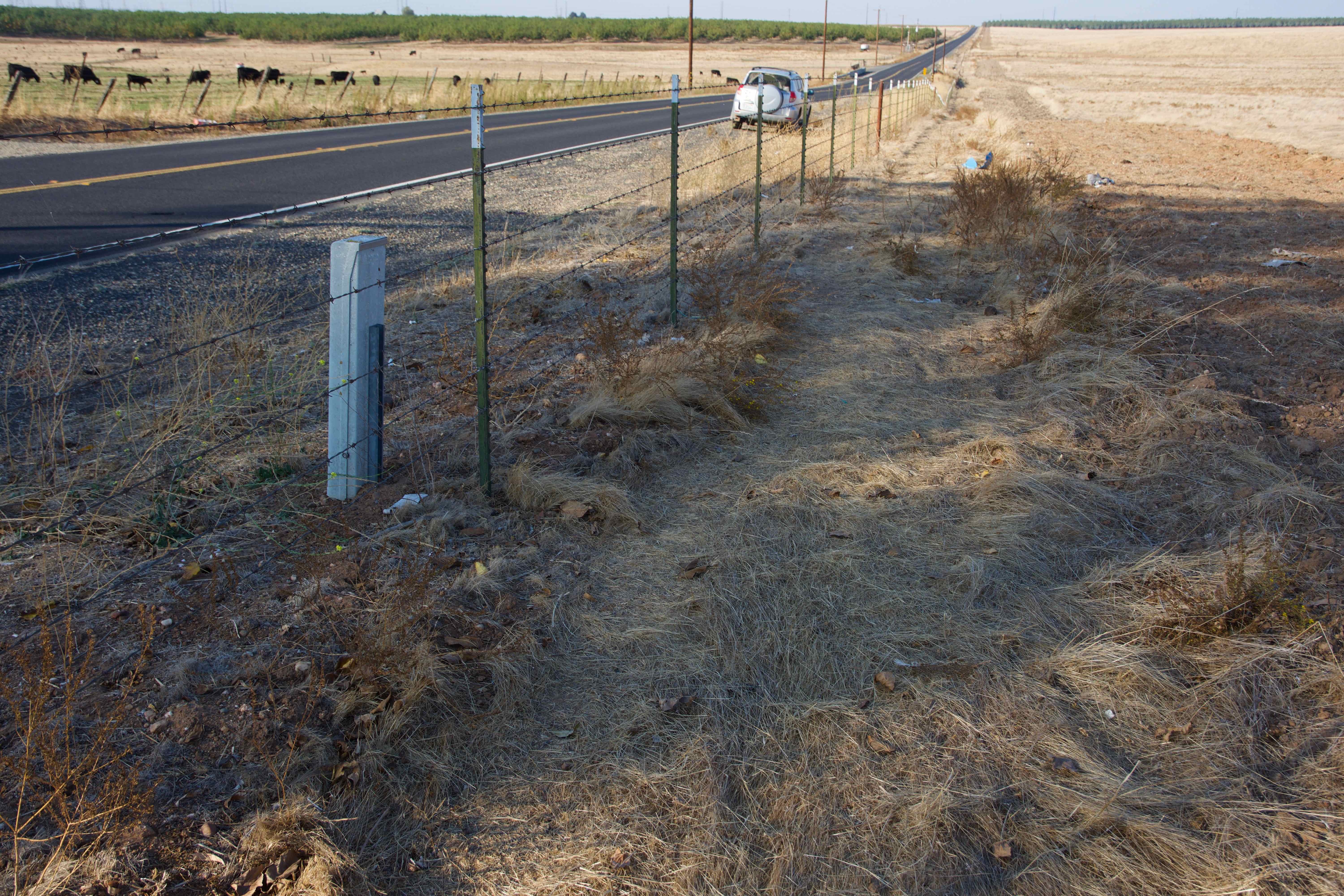 The confluence point lies just inside this farm fence, next to the Escalon-Bellota Road