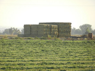 #1: Fresh stack of hay bales from the confluence field
