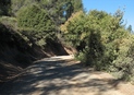 #6: One of the dirt roads leading to the confluence