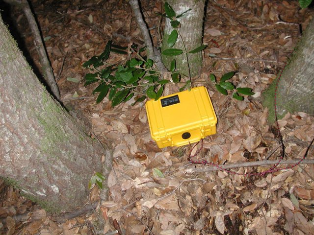 Geocache placed at site