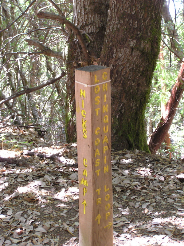 This trail marker lies about 60 feet from the confluence point, and so has made a 'successful visit'
