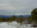 #5: Mt. Shasta from Big Bend Road