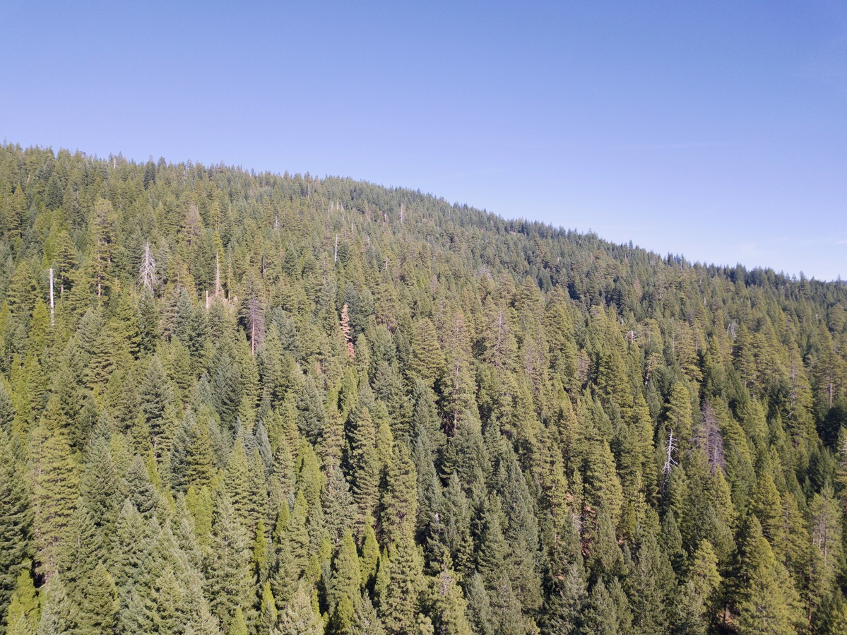 View North (up the slope, into Oregon), from 120m above the point