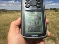 #7: GPS reading at the confluence point.