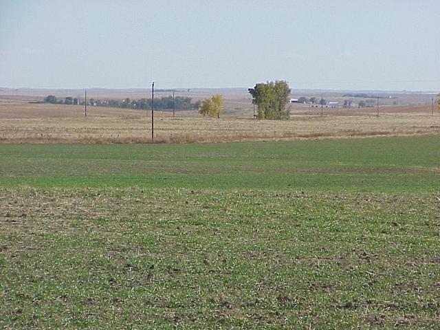 View to the south-southeast from the confluence.