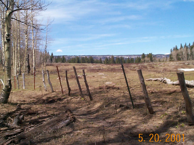 A picture looking north to the top of the Grand Mesa taken 100 yards east of the confluence