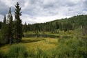 #8: A small lake on the other side of the road from the trailhead, 0.57 miles from the point