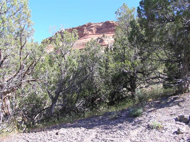 View of the canyon wall to the north from the confluence point.